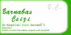 barnabas csizi business card